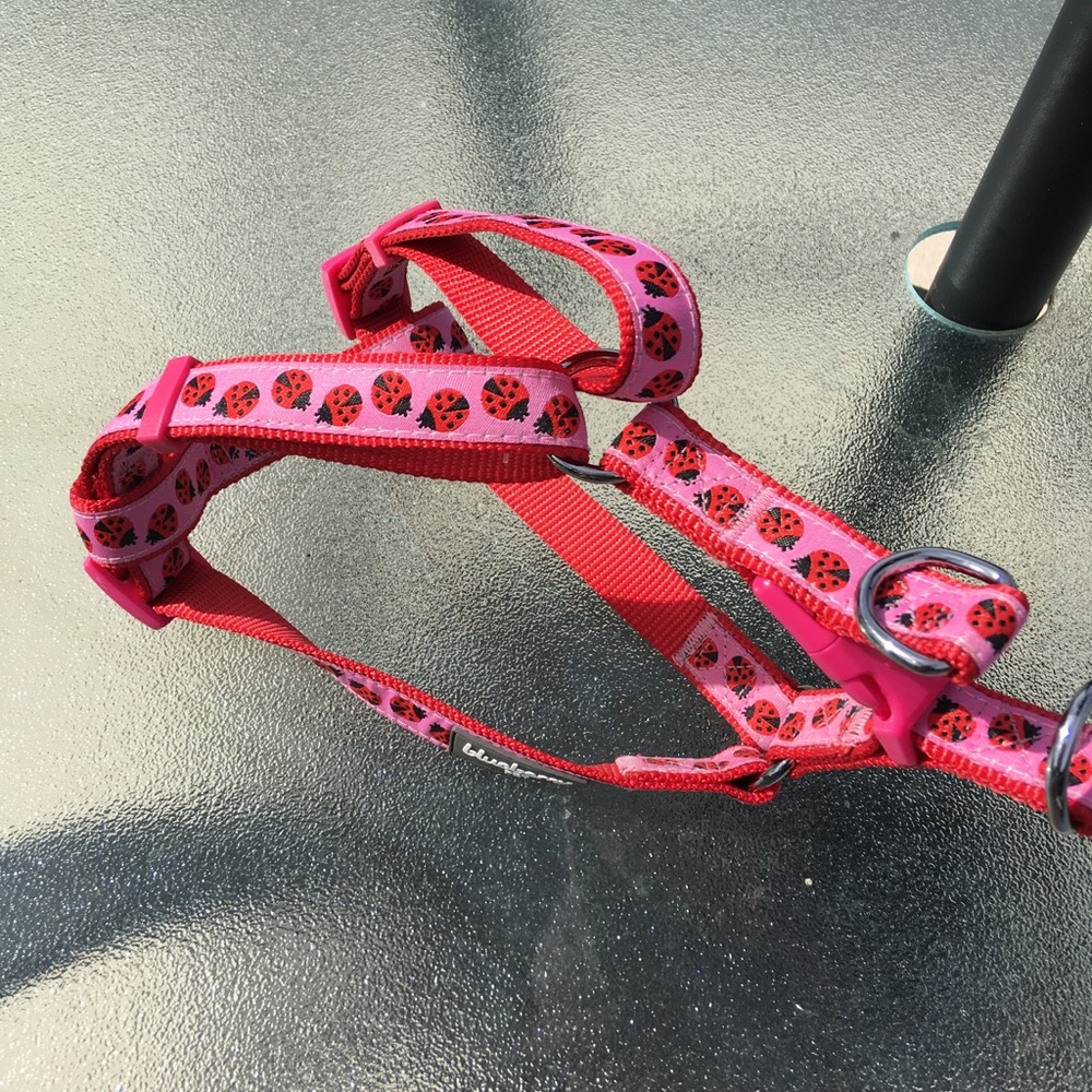 Blueberry Pet Ladybug Dog Harness - Pink and Red NWOT - Chest = 26”
